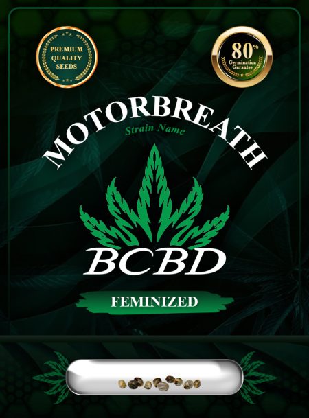 Motorbreath Strain Feminized