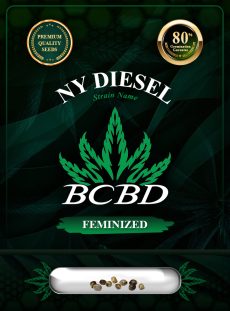 NY Diesel Strain Feminized