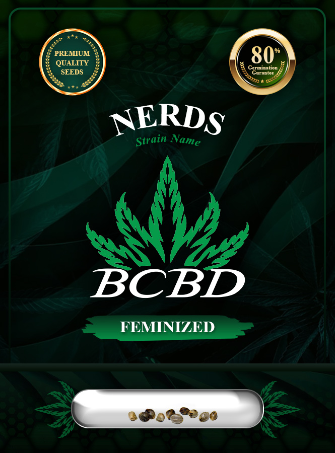 Nerds Strain Feminized Marijuana Seeds