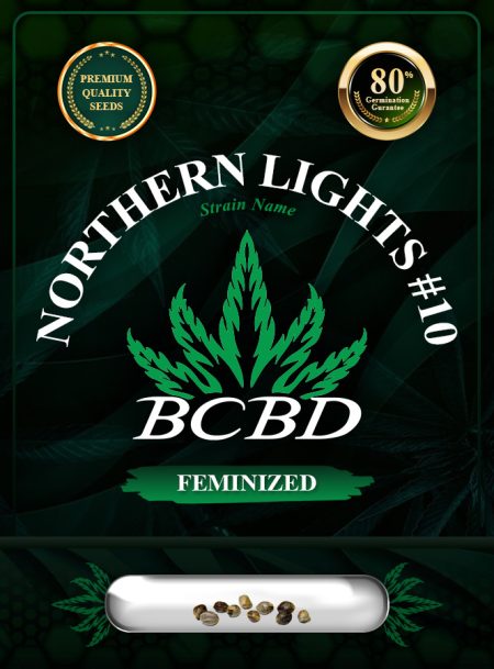 Northern Lights #10 Strain Feminized