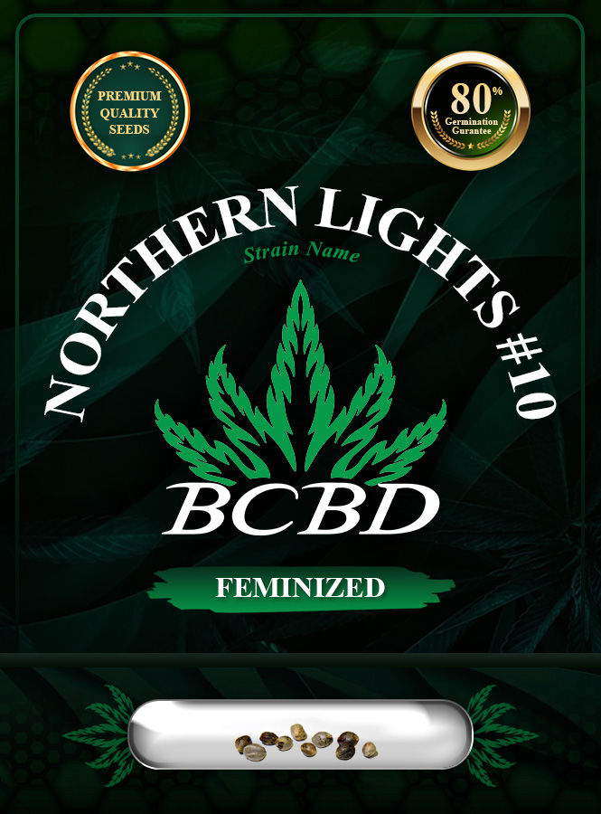 Northern Lights #10 Strain Feminized Marijuana Seeds
