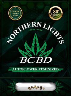 Northern Lights Strain Autoflowering