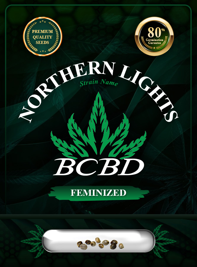 Northern Lights Strain Feminized Marijuana Seeds