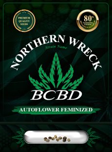 Northern Wreck Strain Autoflowering