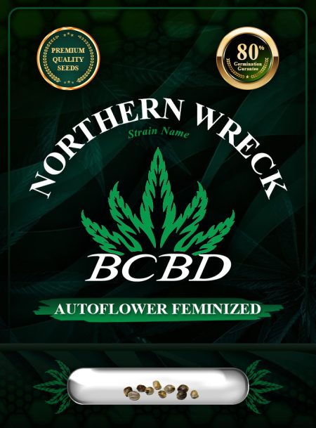 Northern Wreck Strain Autoflowering