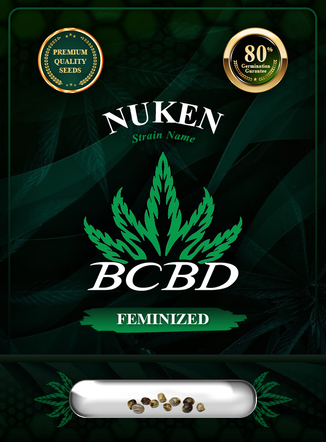 Nuken Strain Feminized Marijuana Seeds