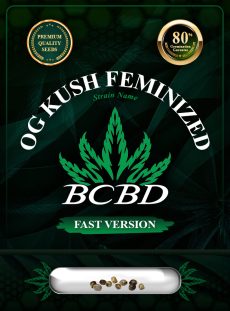 OG Kush Feminized Fast Version