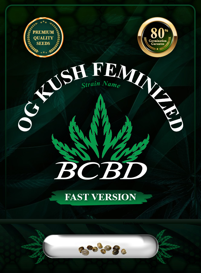 OG Kush Feminized Fast Version Marijuana Seeds
