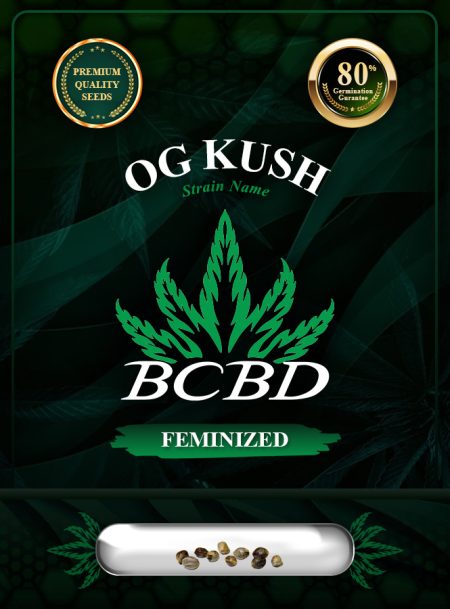 OG Kush Feminized