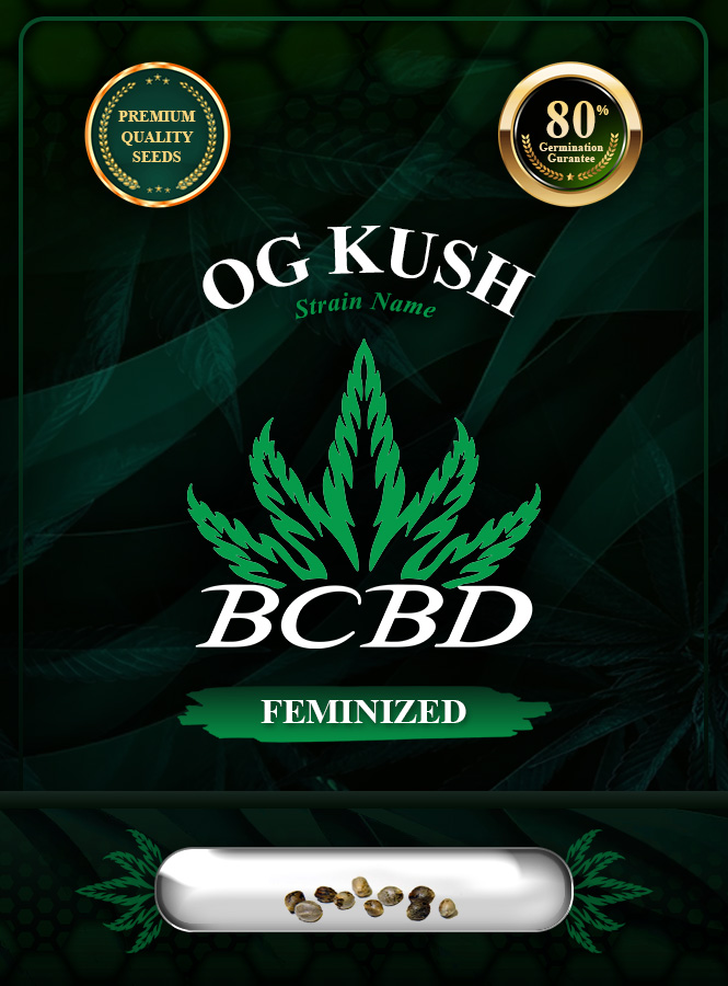 OG Kush Feminized Marijuana Seeds