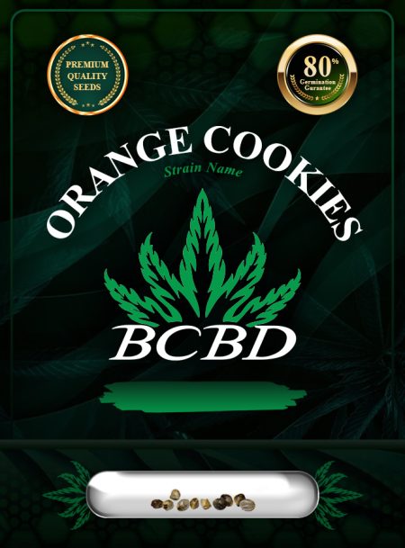 Orange Cookies Strain Feminized