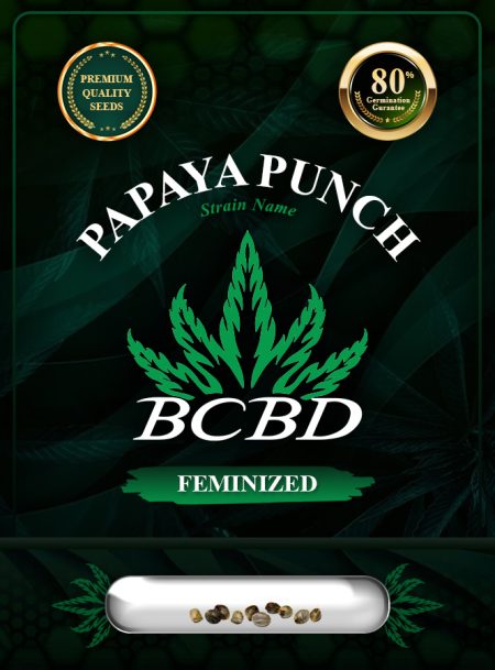 Papaya Punch Strain Feminized