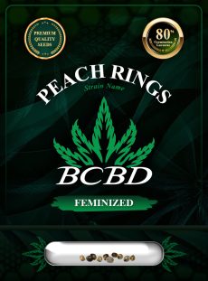 Peach Rings Strain Feminized