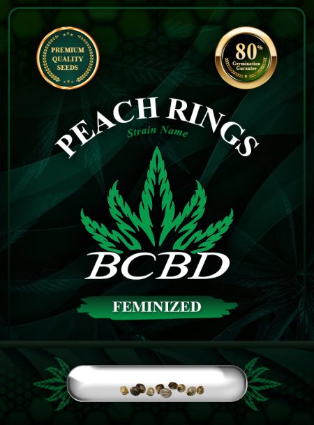 Peach Rings Strain Feminized