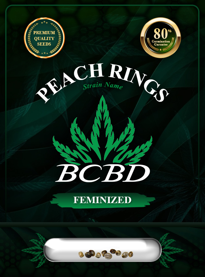 Peach Rings Strain Feminized Marijuana Seeds