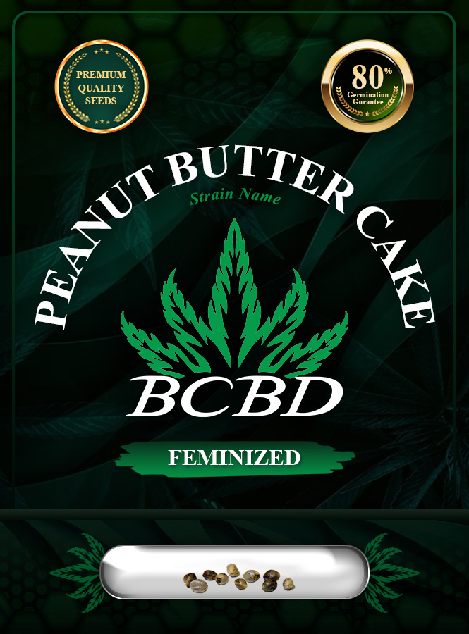 Peanut Butter Cake Strain Feminized Marijuana Seeds