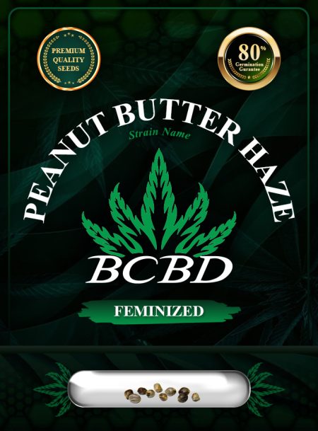 Peanut Butter Haze Feminized