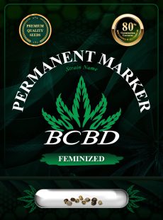 Permanent Marker Strain Feminized