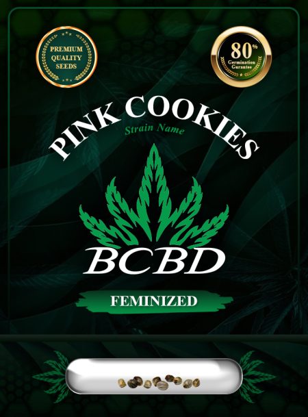Pink Cookies Strain Feminized