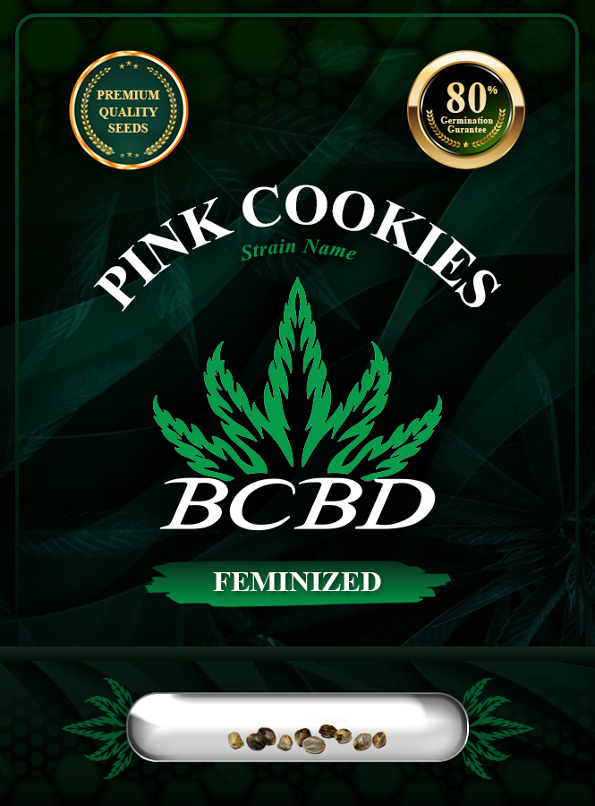 Pink Cookies Strain Feminized Marijuana Seeds