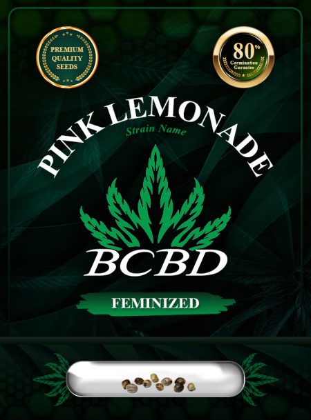 Pink Lemonade Strain Feminized