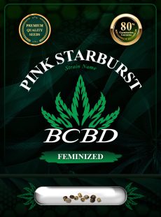 Pink Starburst Strain Feminized