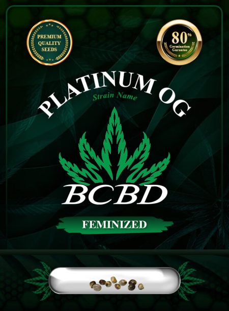 Platinum OG Strain Feminized
