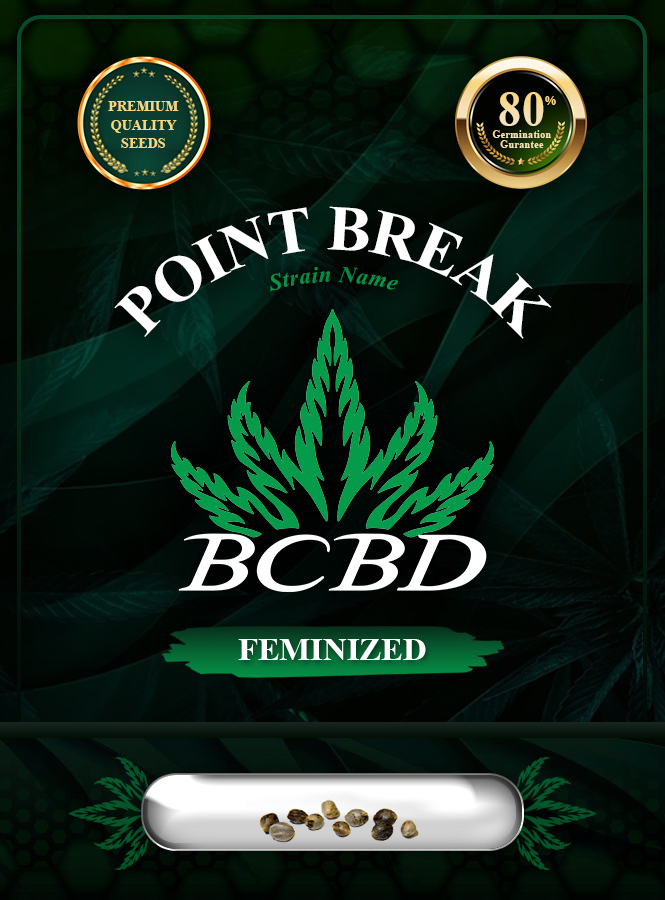 Point Break Strain Feminized Marijuana Seeds