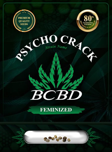 Psycho Crack Strain Feminized