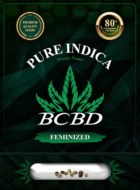 Pure Indica Strain Feminized