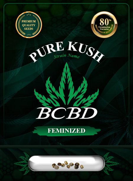 Pure Kush Feminized
