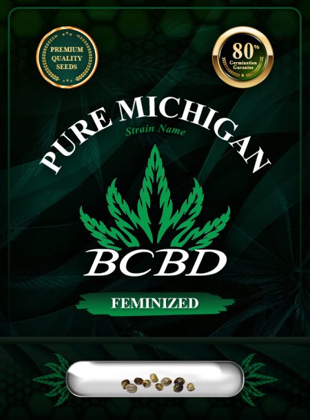 Pure Michigan Strain Feminized