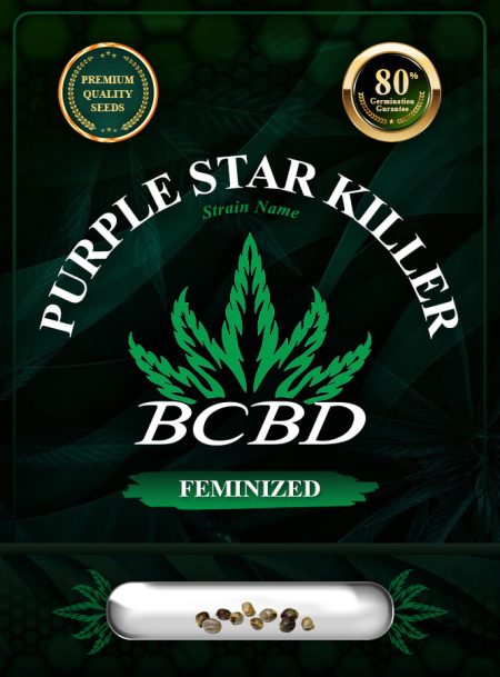 Purple Star Killer Strain Feminized