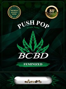 Push Pop Strain Feminized