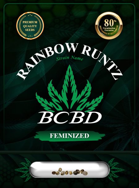 Rainbow Runtz Strain Feminized