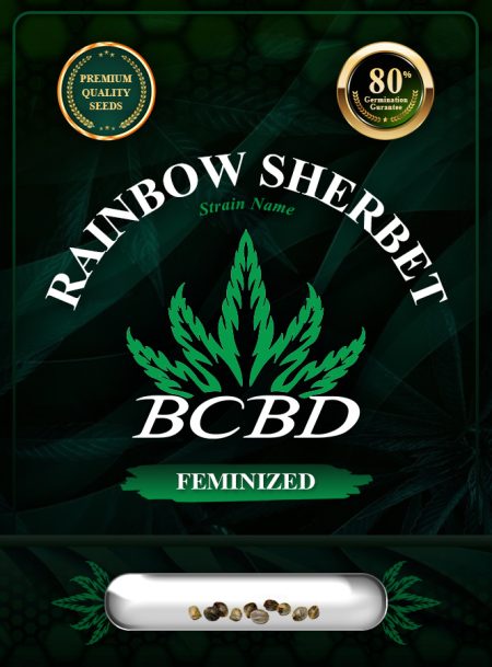 Rainbow Sherbet Strain Feminized