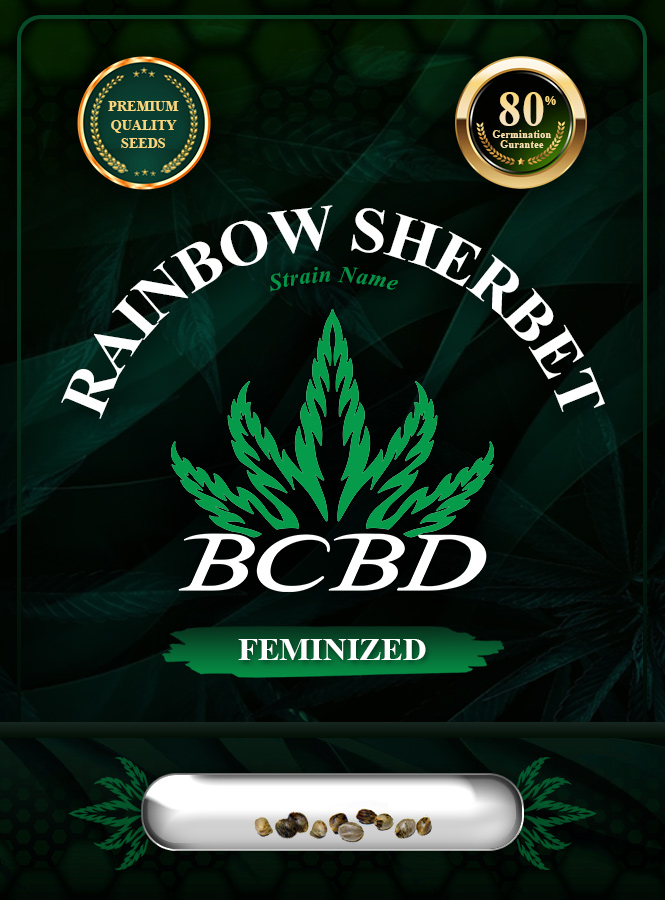 Rainbow Sherbet Strain Feminized Marijuana Seeds
