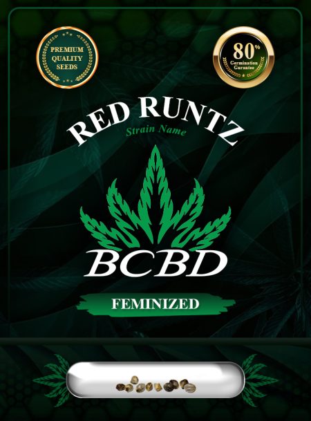 Red Runtz Strain Feminized