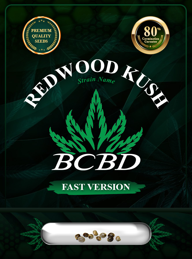 Redwood Kush Fast Version Marijuana Seeds