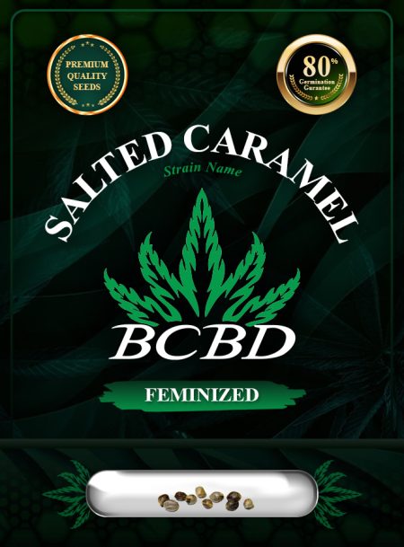 Salted Caramel Strain Feminized