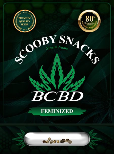 Scooby Snacks Strain Feminized