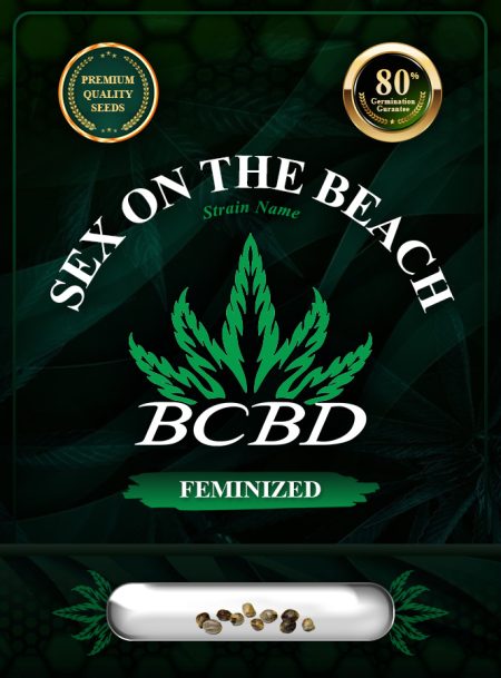 Sex on the Beach Strain Feminized