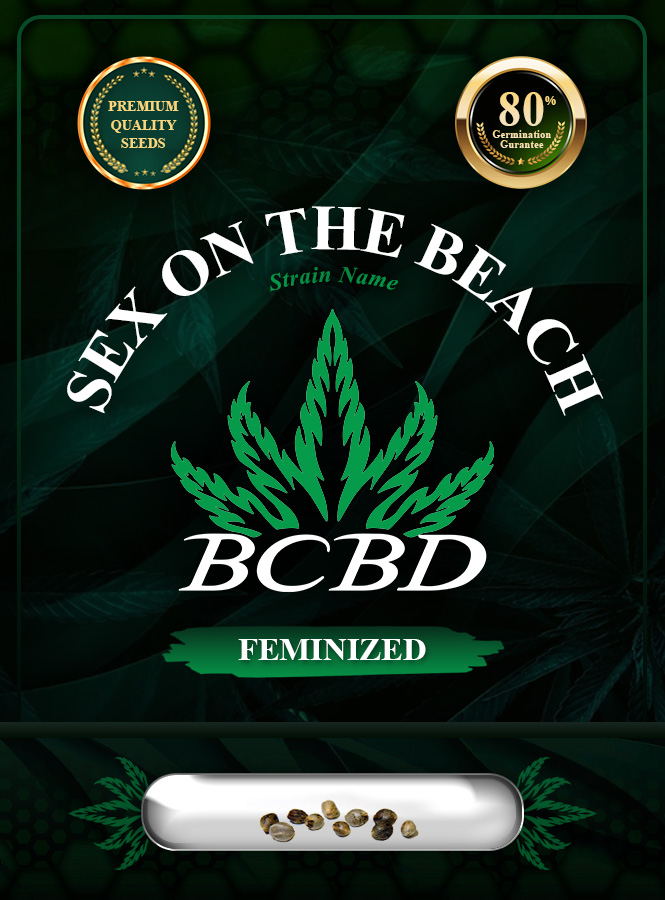 Sex on the Beach Strain Feminized Marijuana Seeds