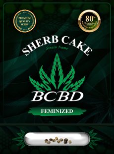 Sherb Cake Strain Feminized