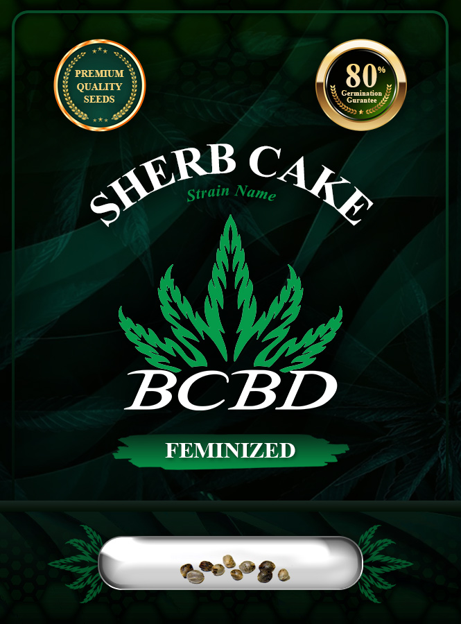 Sherb Cake Strain Feminized Marijuana Seeds