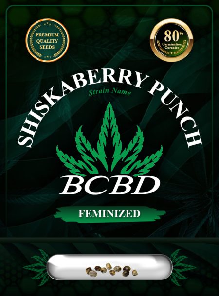 Shiskaberry Punch Strain Feminized
