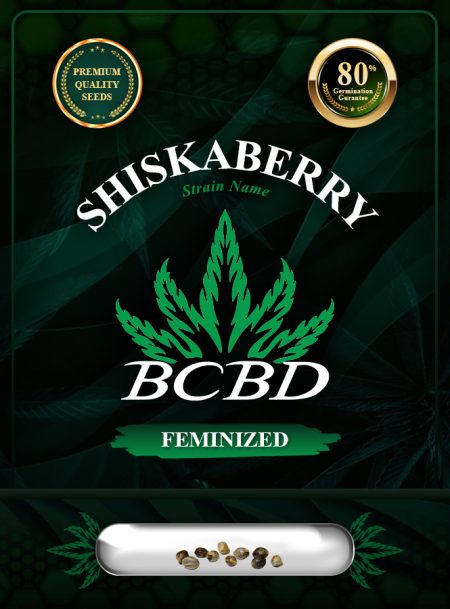 Shiskaberry Strain Feminized