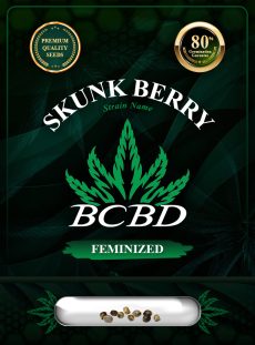 Skunk Berry Strain Feminized