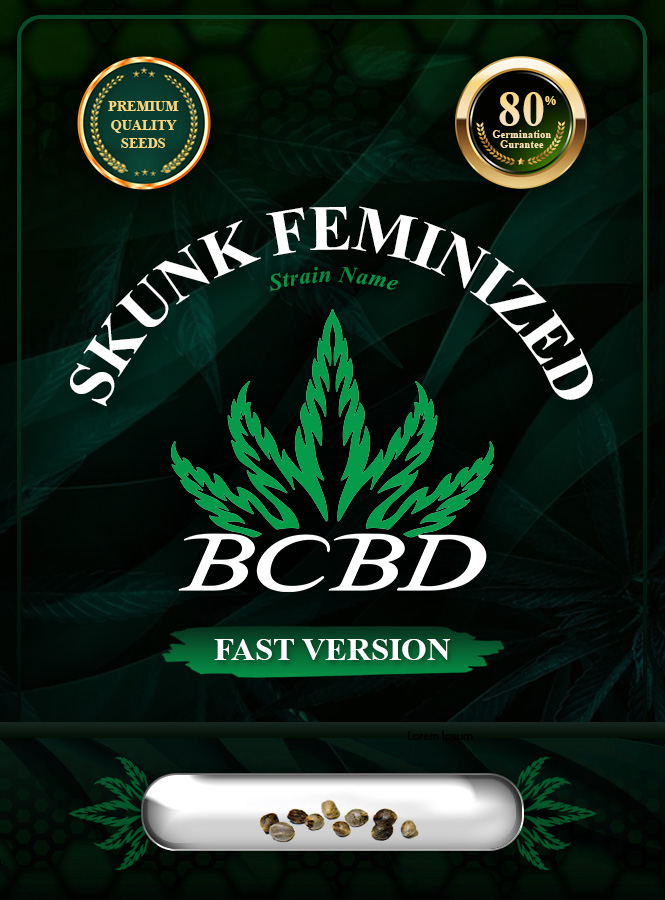 Skunk Strain Feminized Fast Version Marijuana Seeds