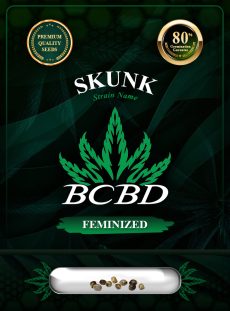Skunk Strain Feminized
